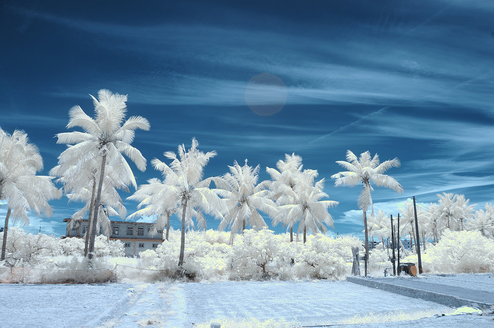 http://i.dcview.tw/gallery/201408/29bb4d70a90f18138534ec73dca3f0fe.jpg