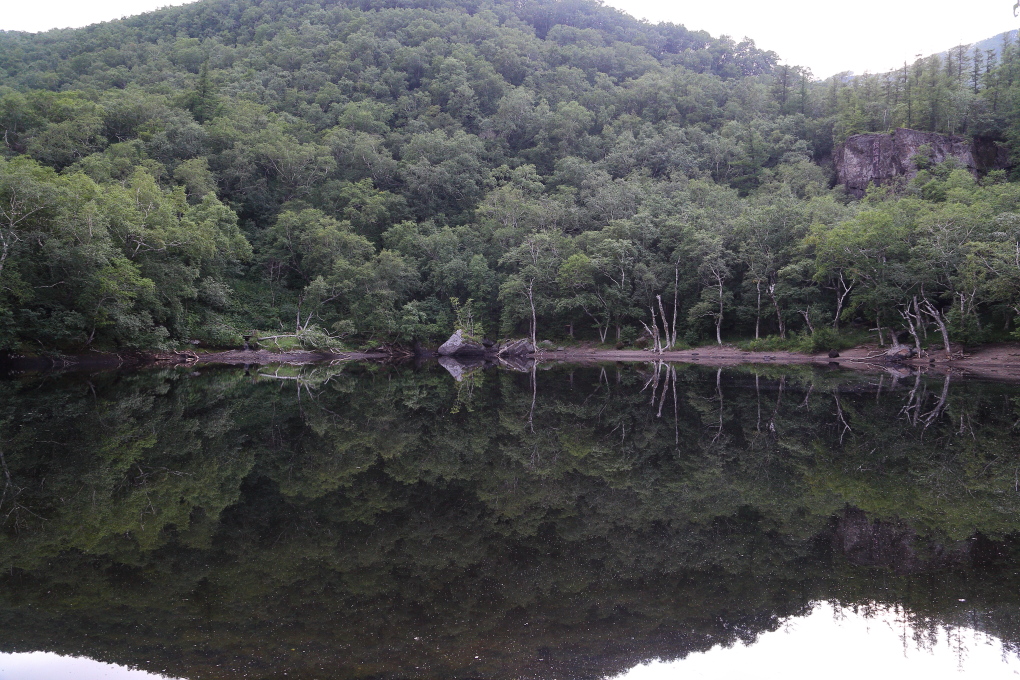 http://i.dcview.tw/gallery/201408/307f2ce277962ed6c7d949fecf572825.jpg