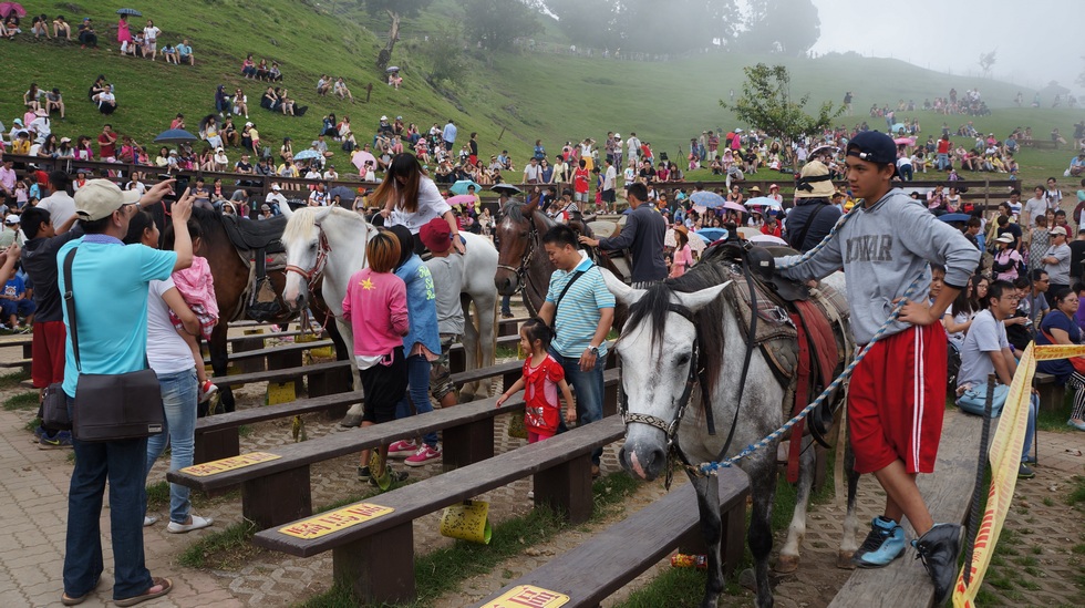 http://i.dcview.tw/gallery/201408/456880e90b3e05837c8976e03f38071e.jpg
