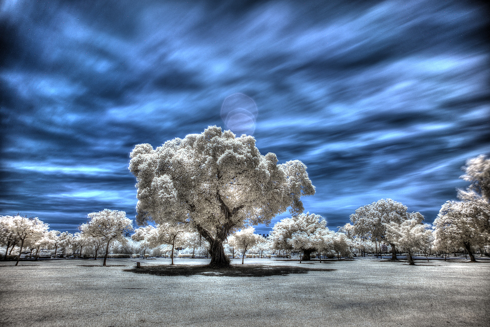 http://i.dcview.tw/gallery/201408/595d41cf67eaefdb65e416d7e0656cfd.jpg