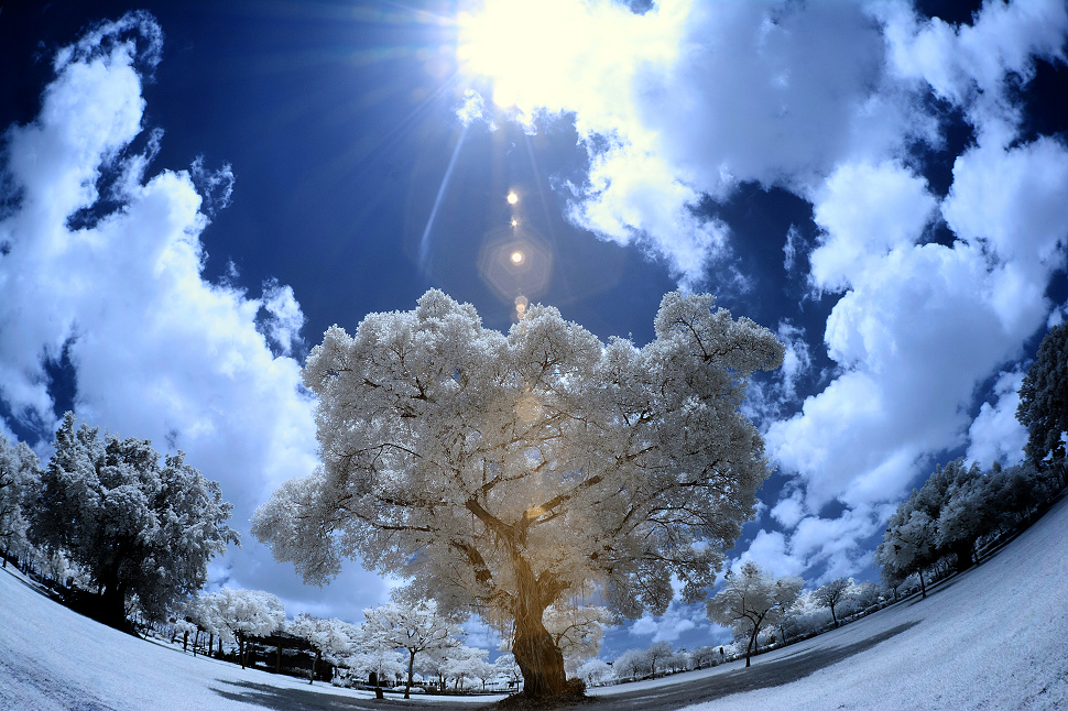 http://i.dcview.tw/gallery/201408/79e4f66ae332f9b83d7372a1981b6962.jpg