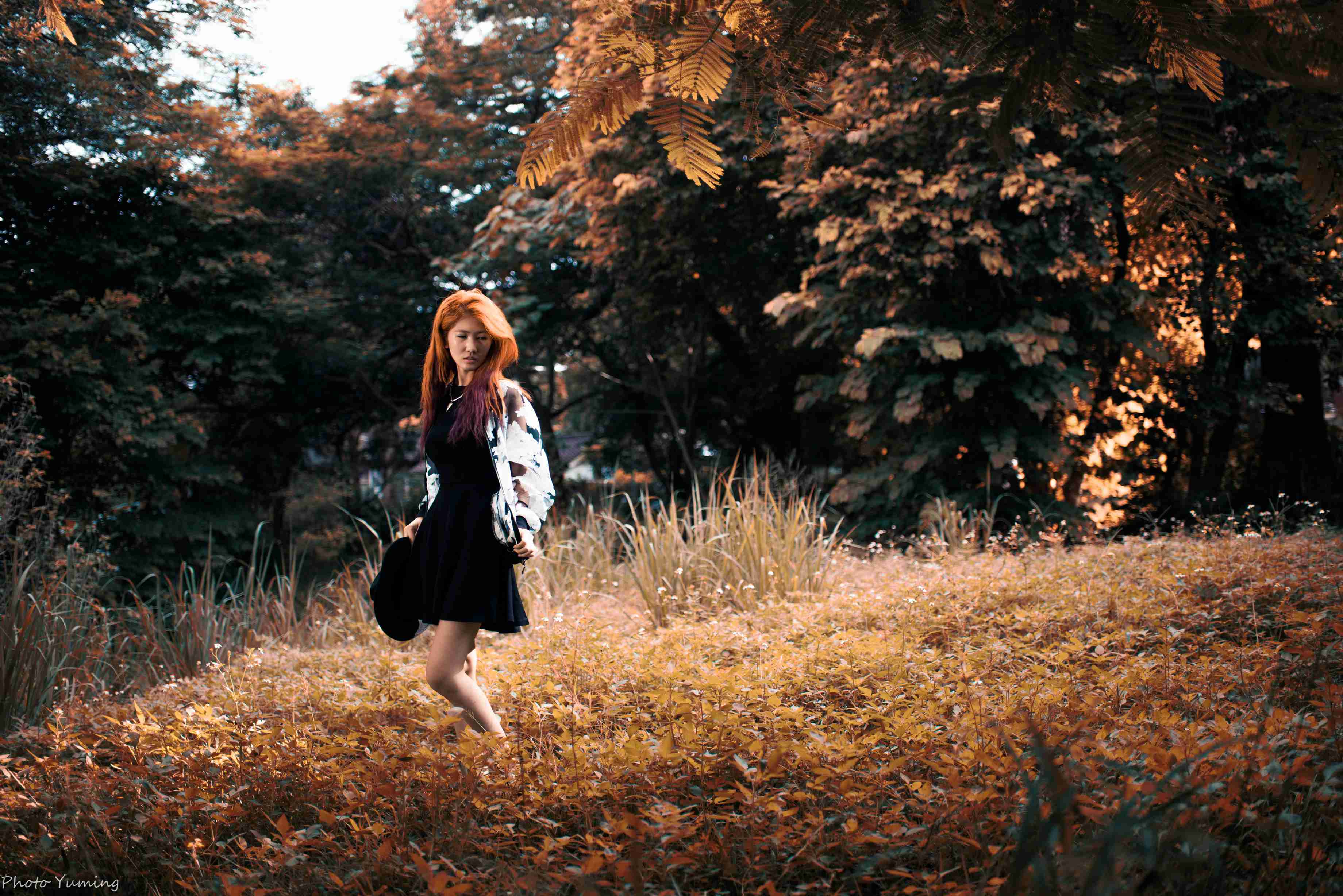 http://i.dcview.tw/gallery/201408/8a0fb1b0ff1afb3810edd8219ee6520d.jpg