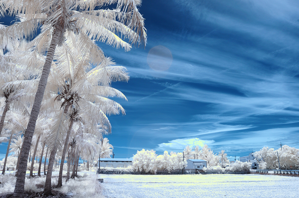 http://i.dcview.tw/gallery/201408/94126ae0a440a4373533aa79f283d25a.jpg