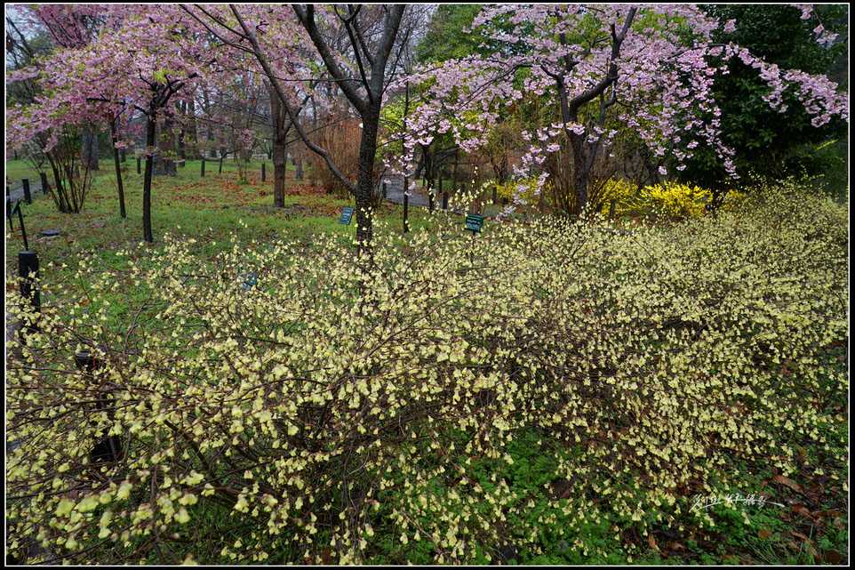 http://i.dcview.tw/gallery/201408/9aeabe3ac190251561f19c03d9ec69fd.jpg