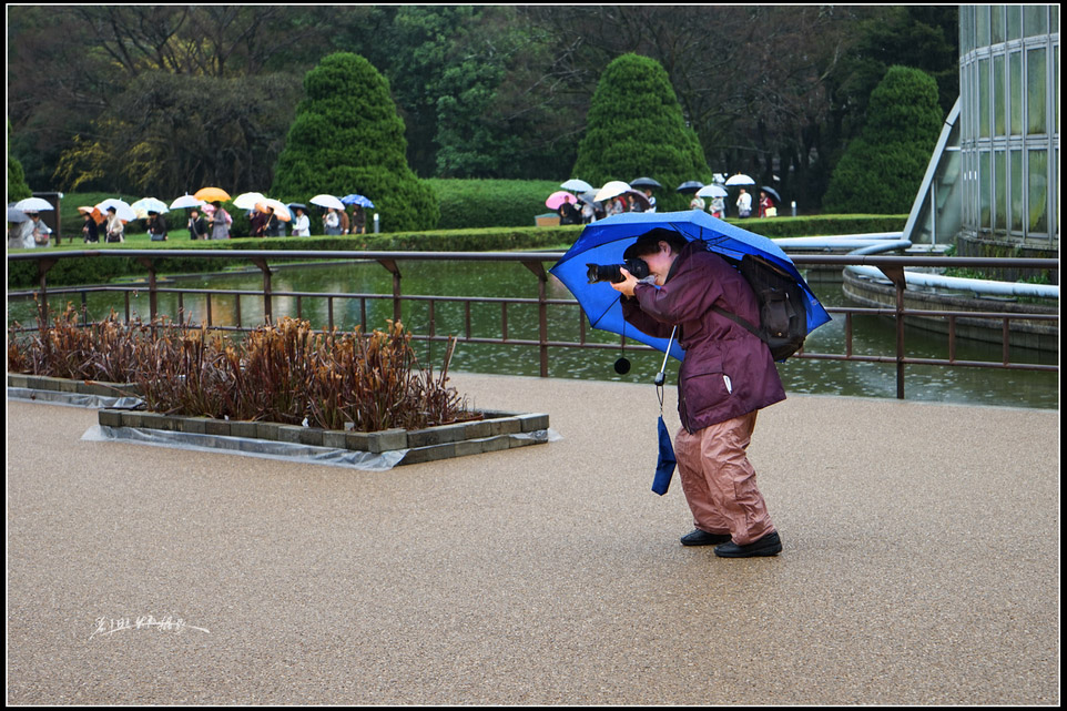 http://i.dcview.tw/gallery/201408/a871813543b71a33751c71eda2ca87d4.jpg
