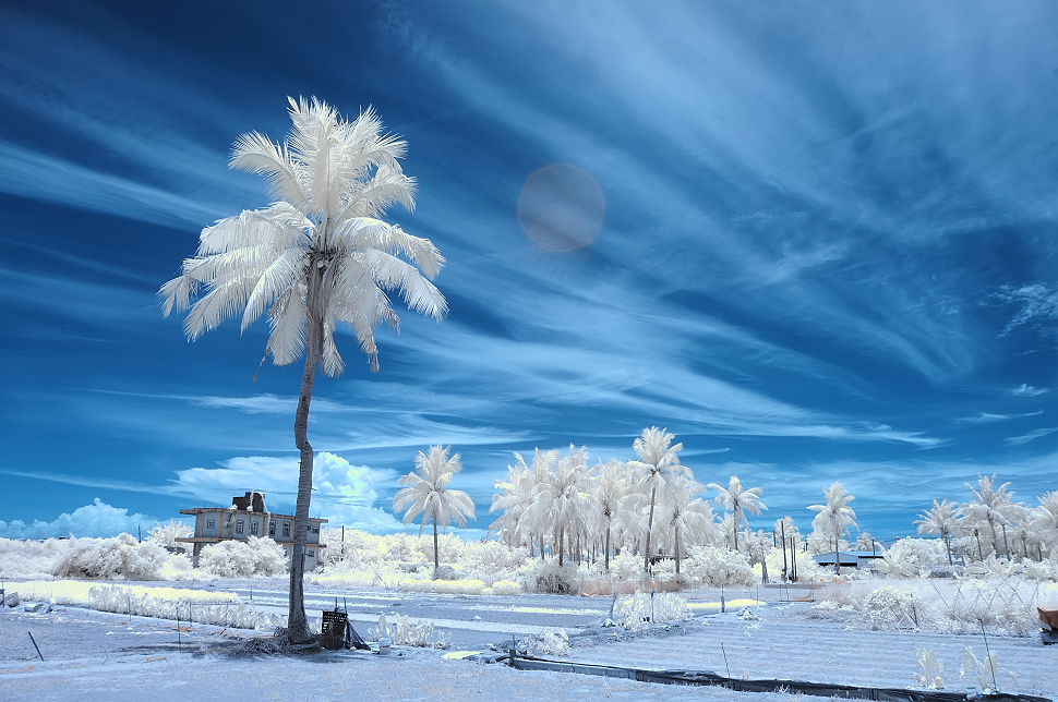 http://i.dcview.tw/gallery/201408/b401c373de400acf118ec10b35e107dc.jpg