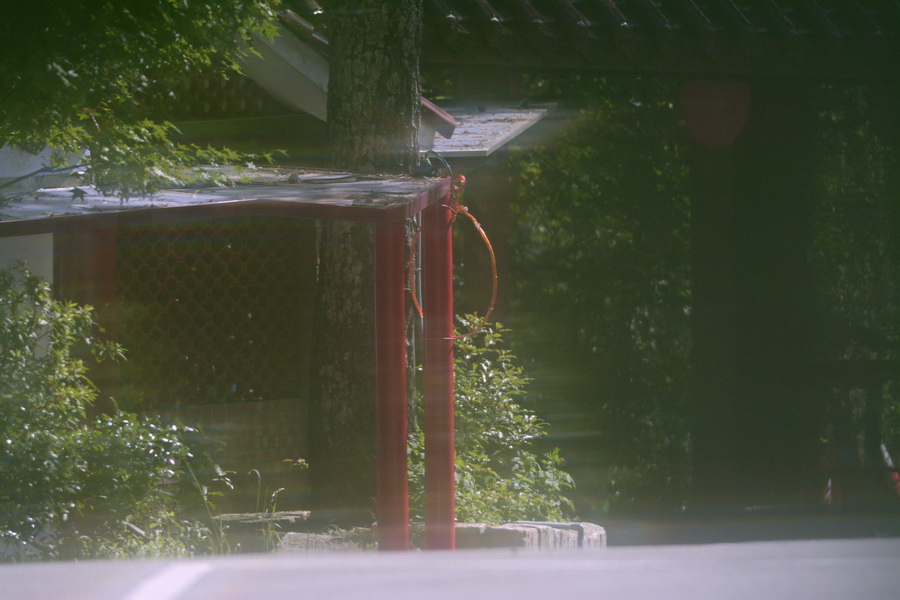 http://i.dcview.tw/gallery/201408/be47a167a03652539c25ff77b378573e.jpg