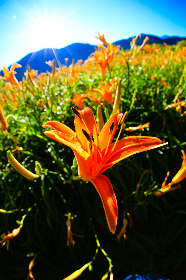 http://i.dcview.tw/gallery/201408/d9339b0645da689a2e45385396bc73f0.jpg