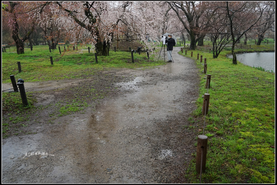 http://i.dcview.tw/gallery/201408/ecea64549ea083acadaac3172fee476c.jpg