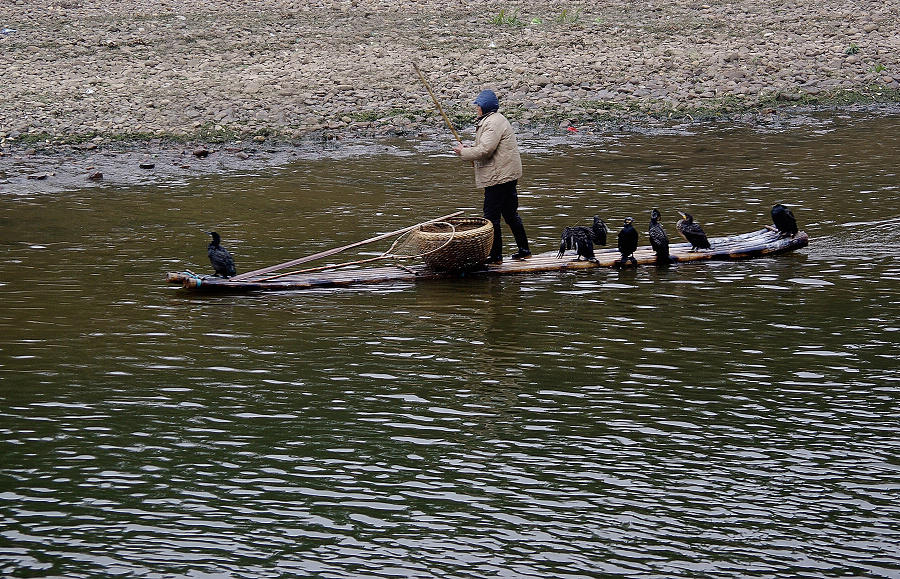 http://i.dcview.tw/gallery/201408/f3b0893a09f6a523dcb48b5b3b1df069.jpg