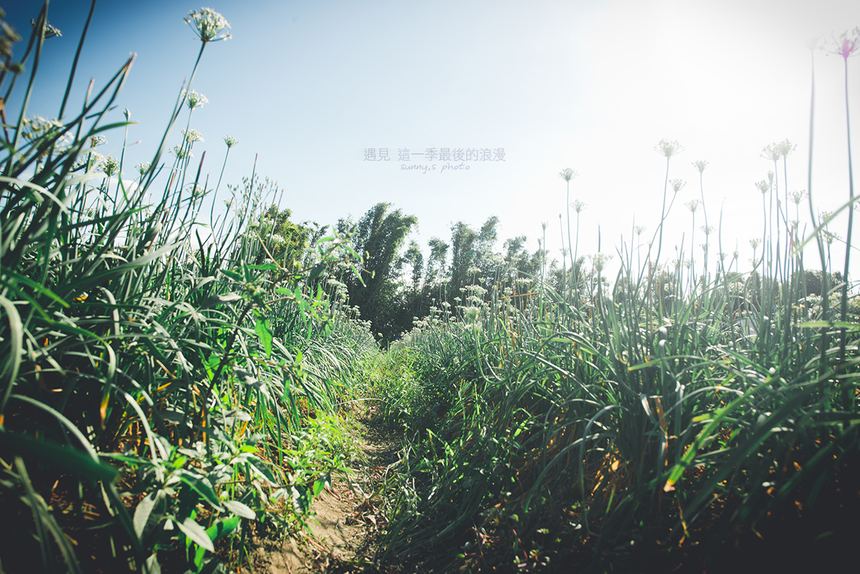 http://i.dcview.tw/gallery/201409/0943bc7023a3630a149f1a500b186f93.jpg