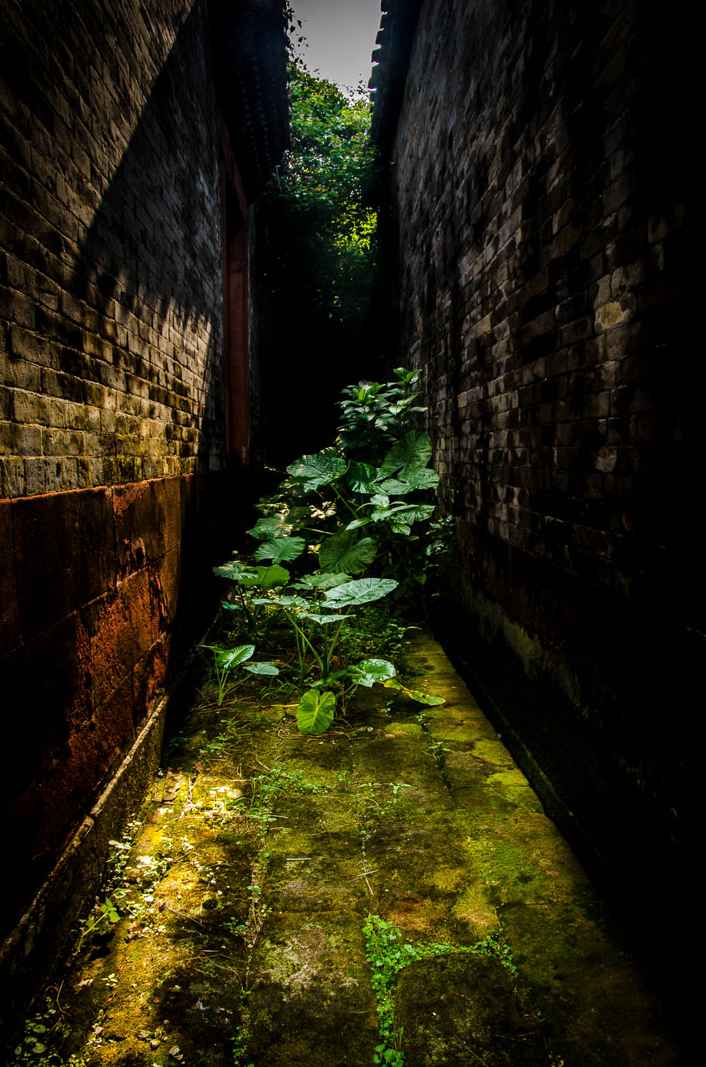 http://i.dcview.tw/gallery/201409/11a33606eba6387bf5641a3280f2abed.jpg