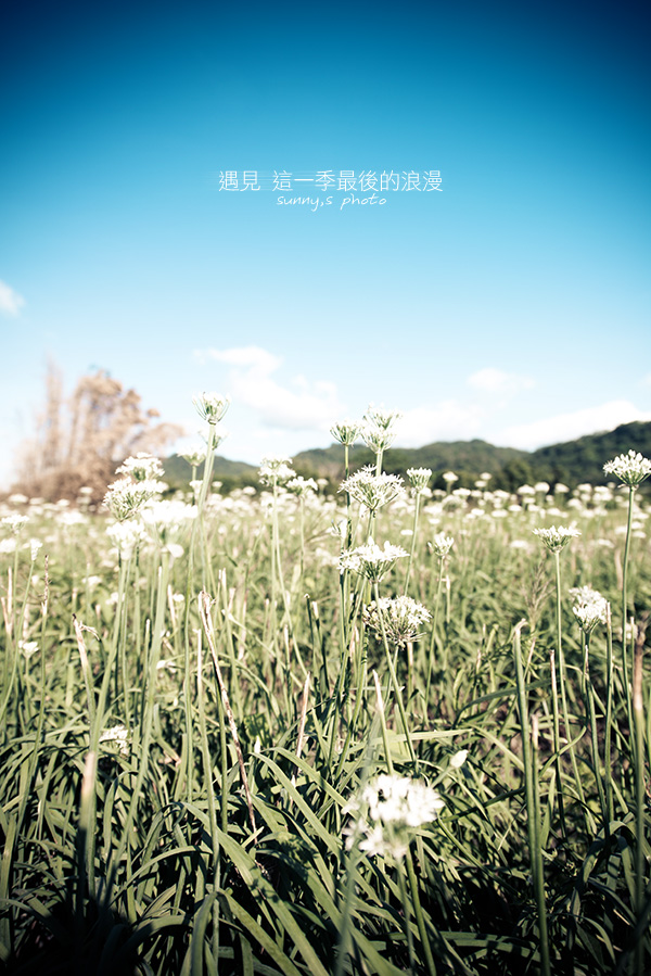 http://i.dcview.tw/gallery/201409/1bcc49cce5e1742f2527858dd66e38ff.jpg