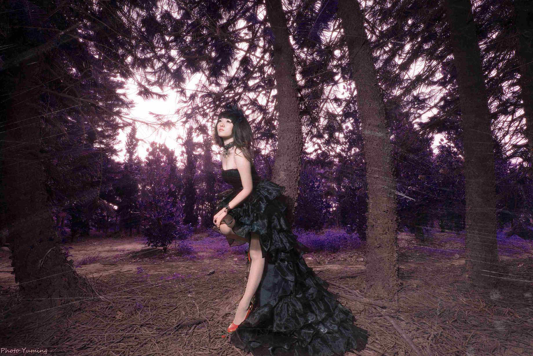 http://i.dcview.tw/gallery/201409/227444b31aa03cfebff946a758f7efab.jpg