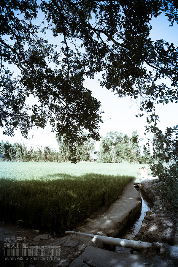 http://i.dcview.tw/gallery/201409/4e89ce2d6cb3452bf9b5f4001dc8583a.jpg