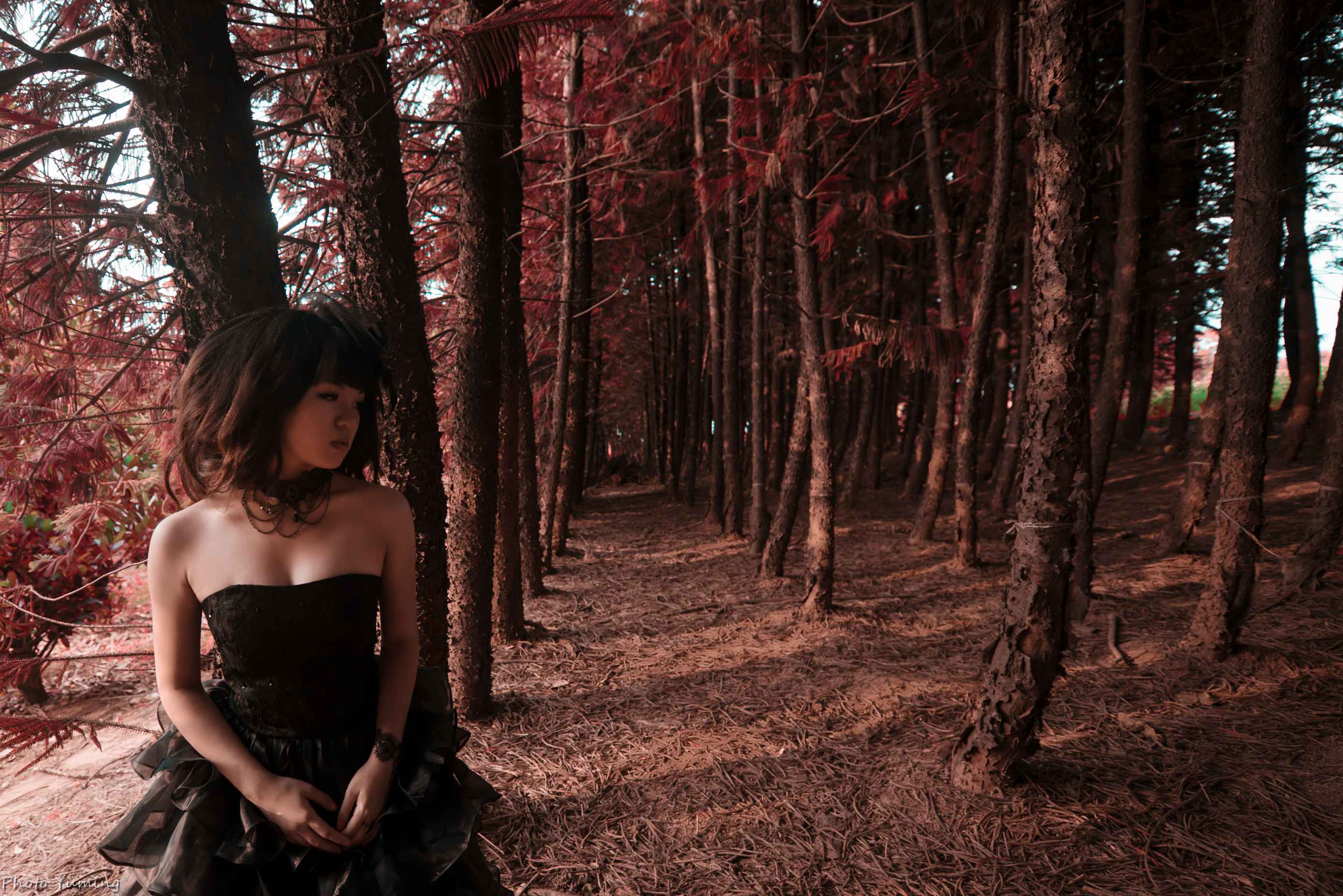 http://i.dcview.tw/gallery/201409/523bed60dc68da6950f7d7a65a8f81e5.jpg