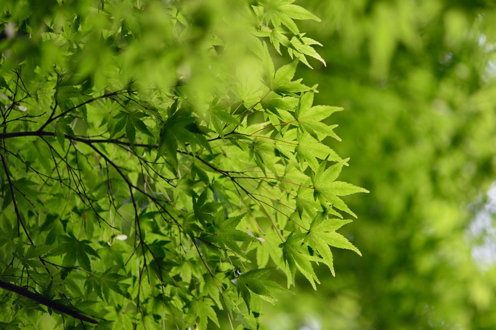 http://i.dcview.tw/gallery/201409/5e4f2f5f8e9e260adeba4691e7744e53.jpg