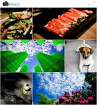 【公園路321巷】新景點 藍籃路