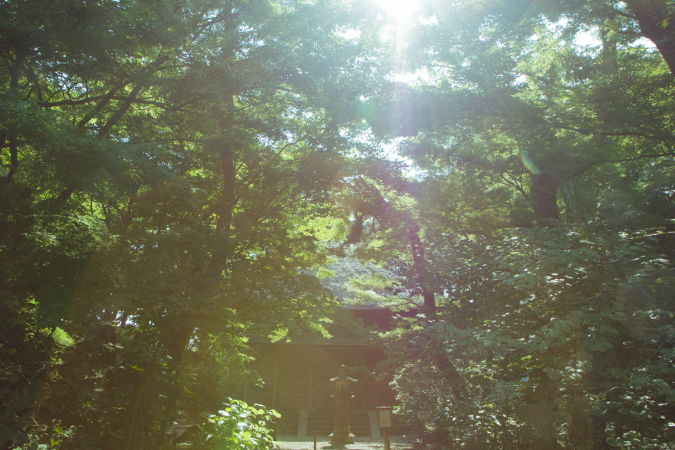 http://i.dcview.tw/gallery/201409/931cdd93f888bf121c52d0b8564d0069.jpg