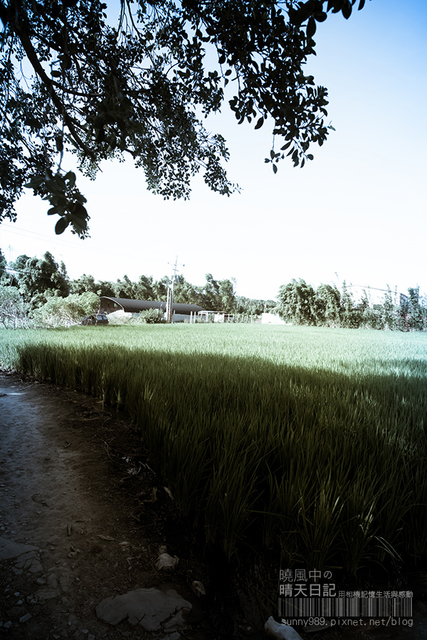http://i.dcview.tw/gallery/201409/9ea3e6ec86ac4e1f06c5c863149a6b11.jpg