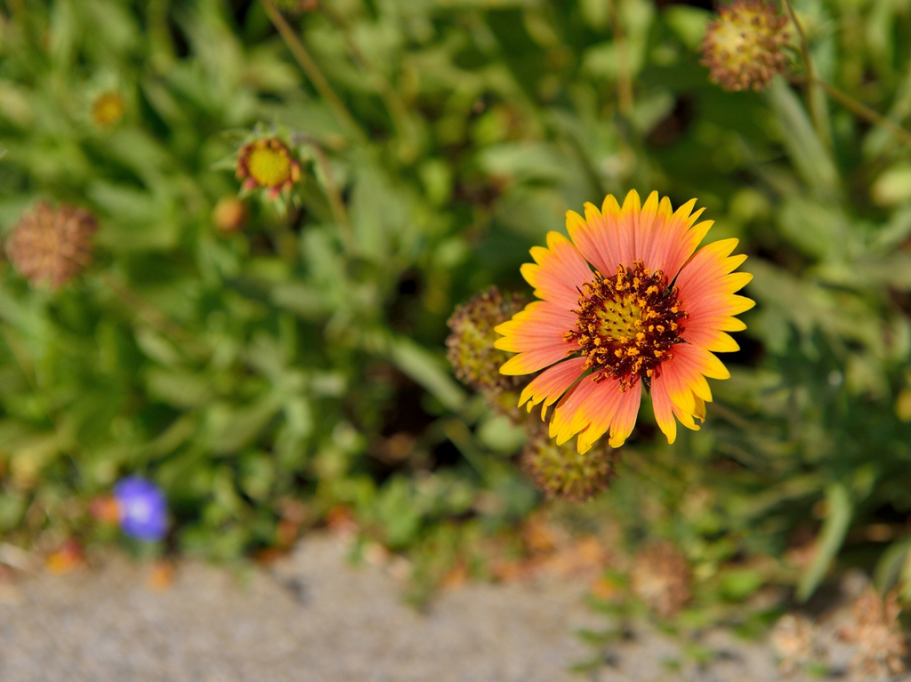 http://i.dcview.tw/gallery/201409/a52f260d07bb5376427dabe7f12393d8.jpg