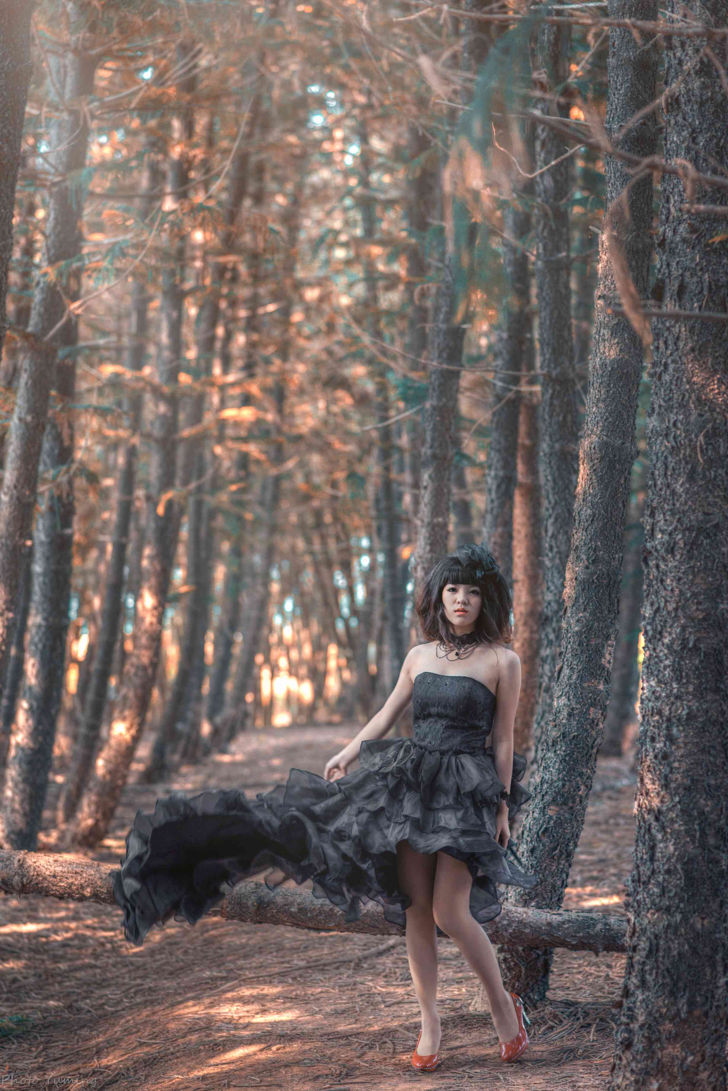 http://i.dcview.tw/gallery/201409/aaedf1c8cfc6fbfbd61d23a3003d1543.jpg
