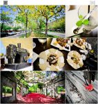 沒有蕃茄的【蕃茄會社】