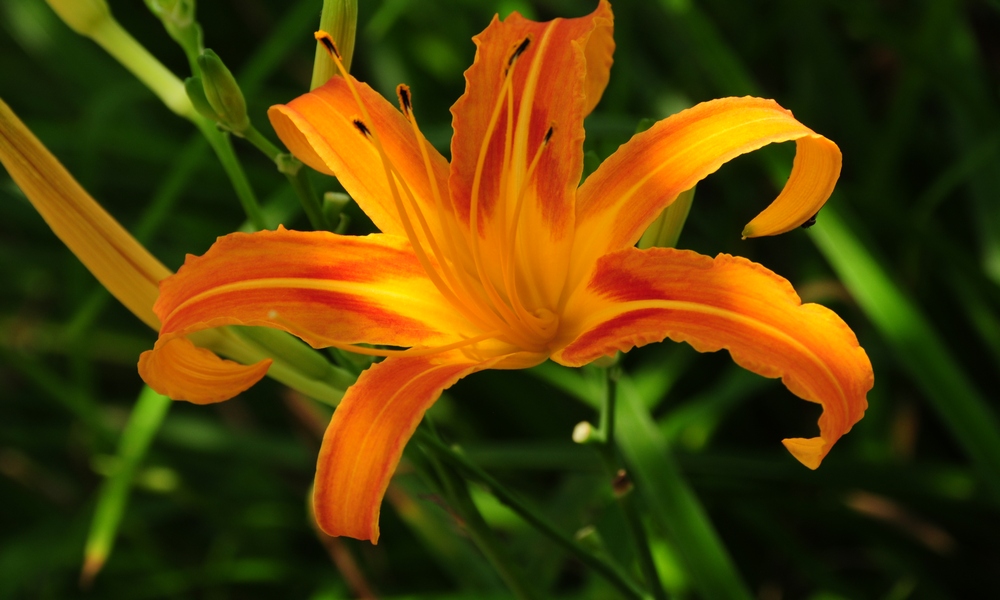 http://i.dcview.tw/gallery/201409/b22a80b4565ea680e13e2e9138e143e2.jpg