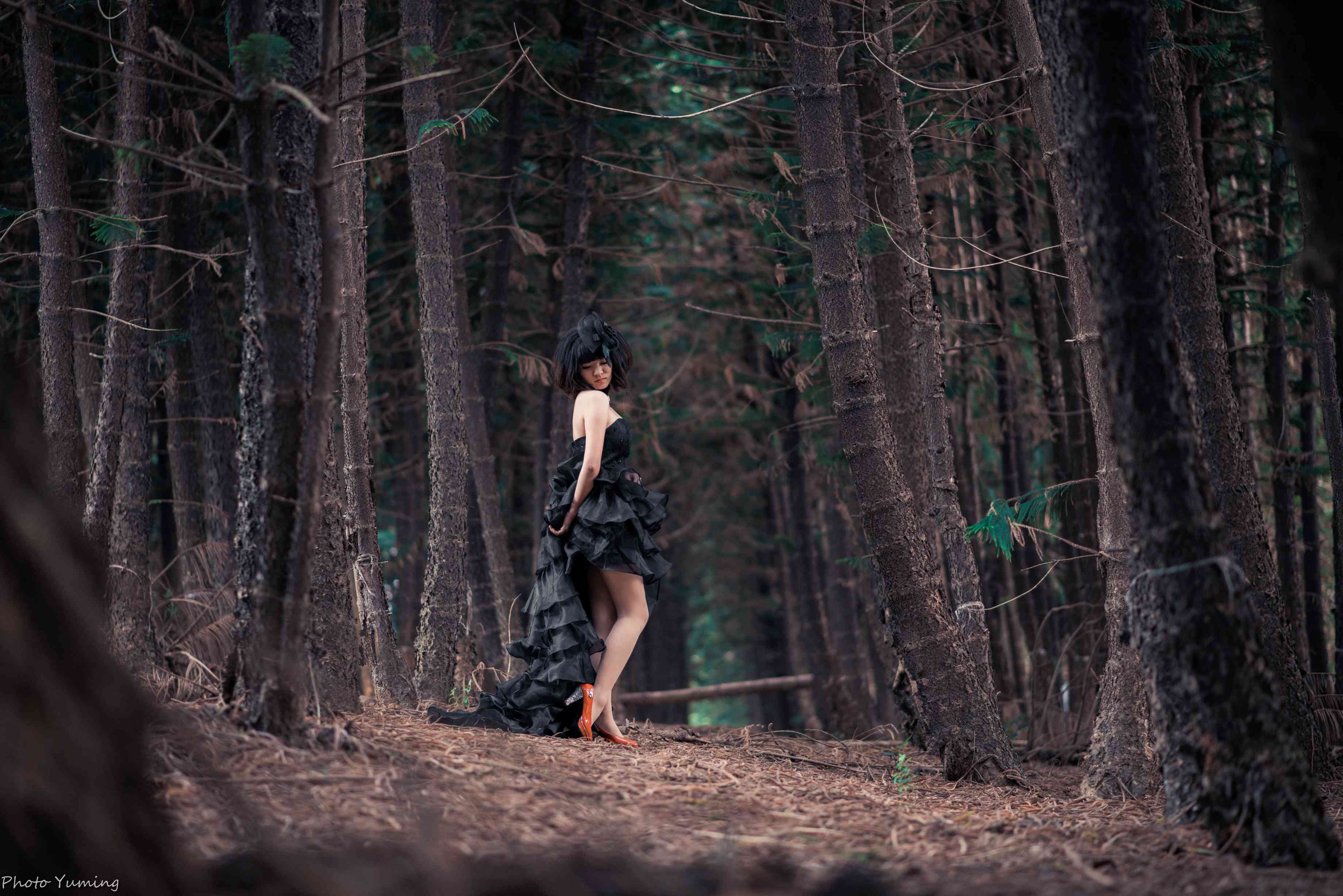 http://i.dcview.tw/gallery/201409/c8e4450bac223a67d8aa8c7e171d6e7b.jpg