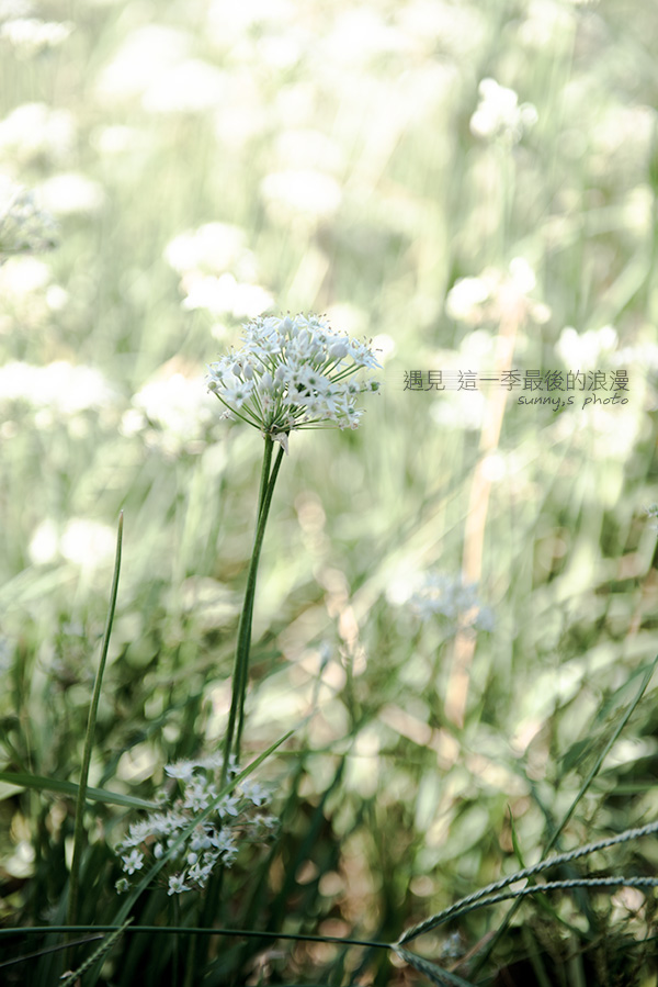 http://i.dcview.tw/gallery/201409/dff108249d3e90ebe02ca95444511444.jpg