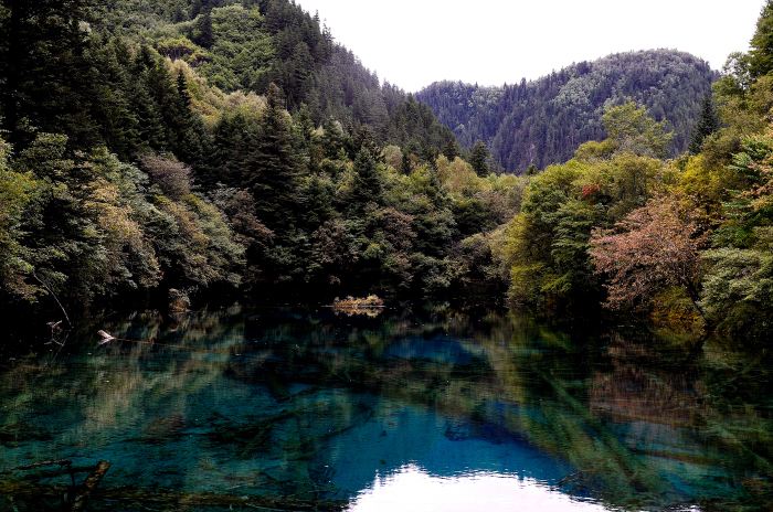 http://i.dcview.tw/gallery/201410/2a42e4b7ea62eda60d22ff7b2cb792ba.jpg