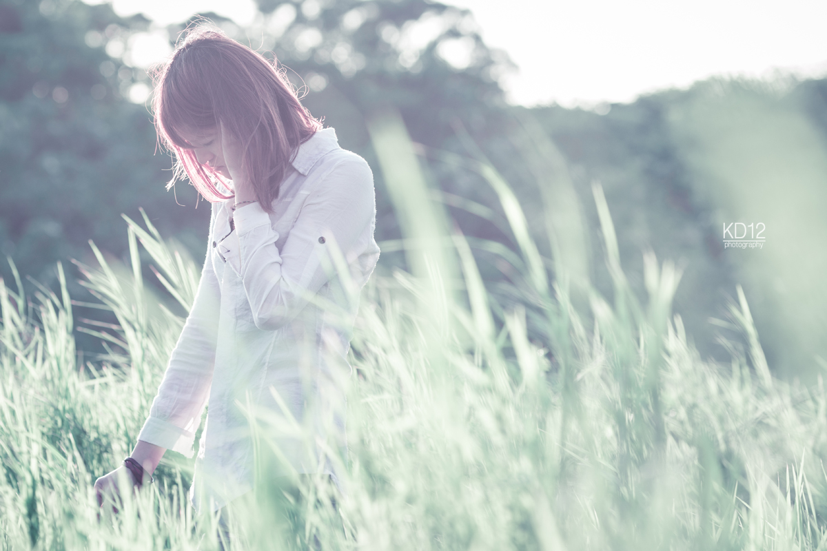 http://i.dcview.tw/gallery/201410/a622e8365657350e762c1f41e940385d.jpg