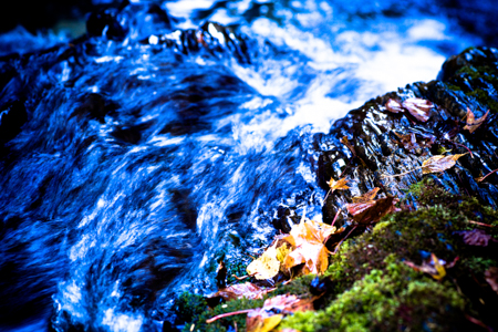 http://i.dcview.tw/gallery/201411/129966848d4759f14c609d3498e81fcb.jpg