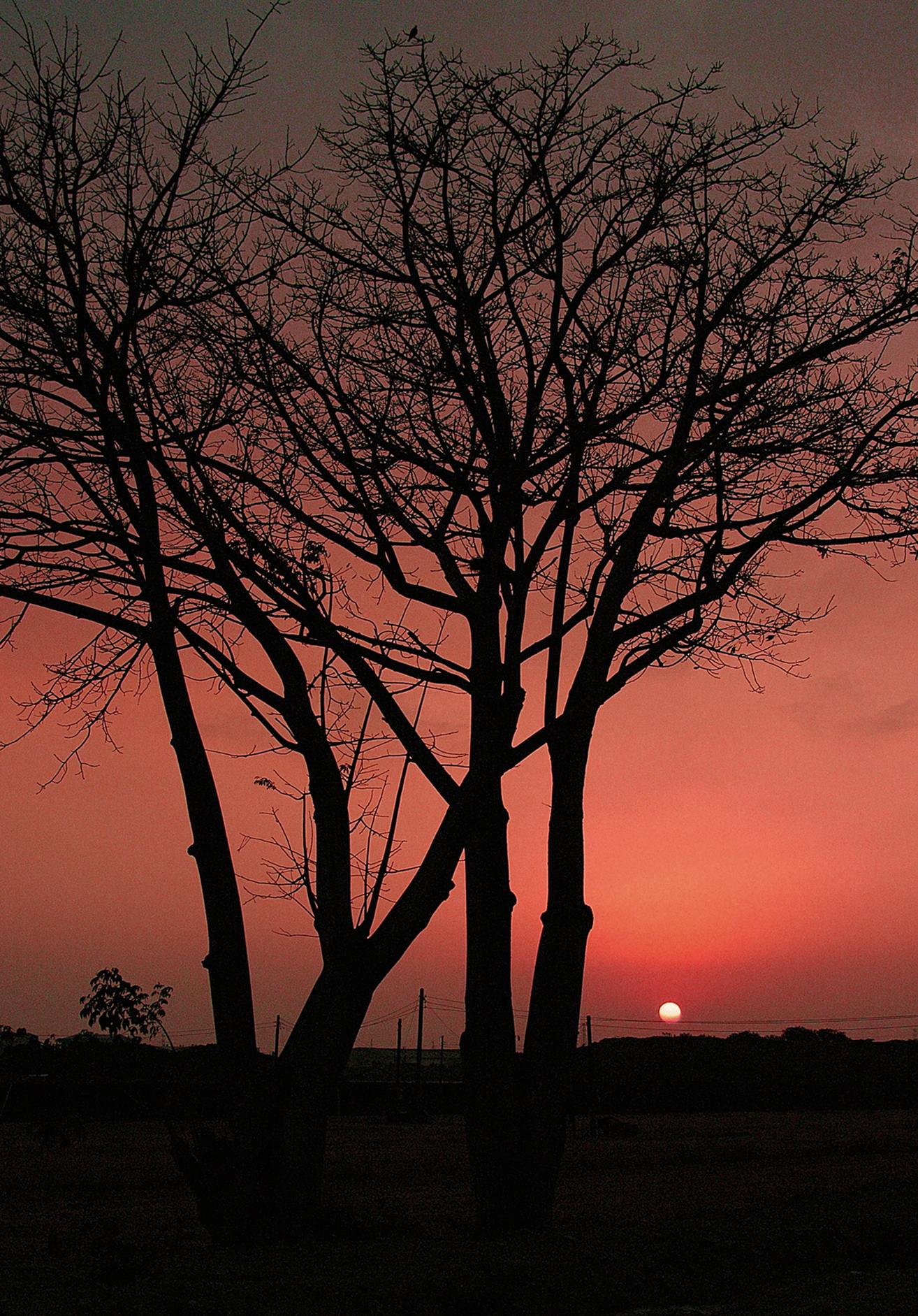 http://i.dcview.tw/gallery/201411/156729863f851d3101a9bc0edbb853cc.jpg