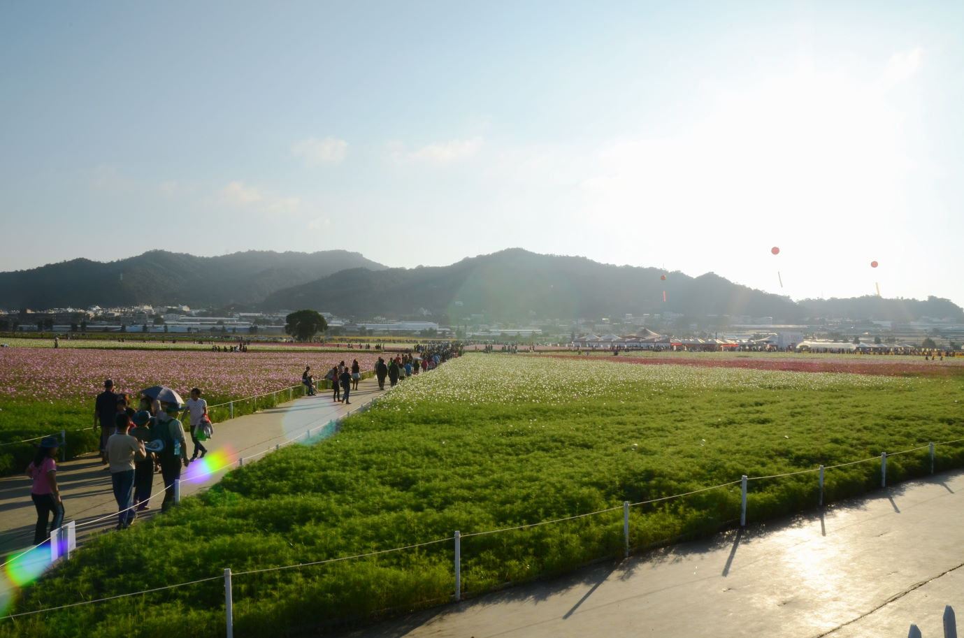 http://i.dcview.tw/gallery/201411/1c52ad0f3085eeb044adeb4bc47f47fd.jpg