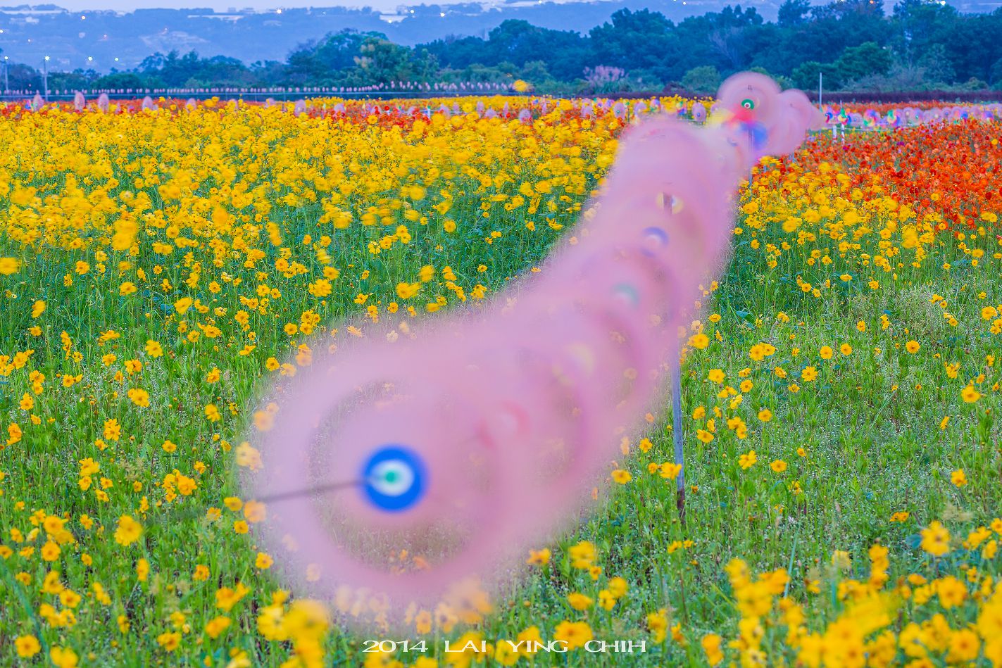http://i.dcview.tw/gallery/201411/27065b131e9278a55731e7a43f87be90.jpg