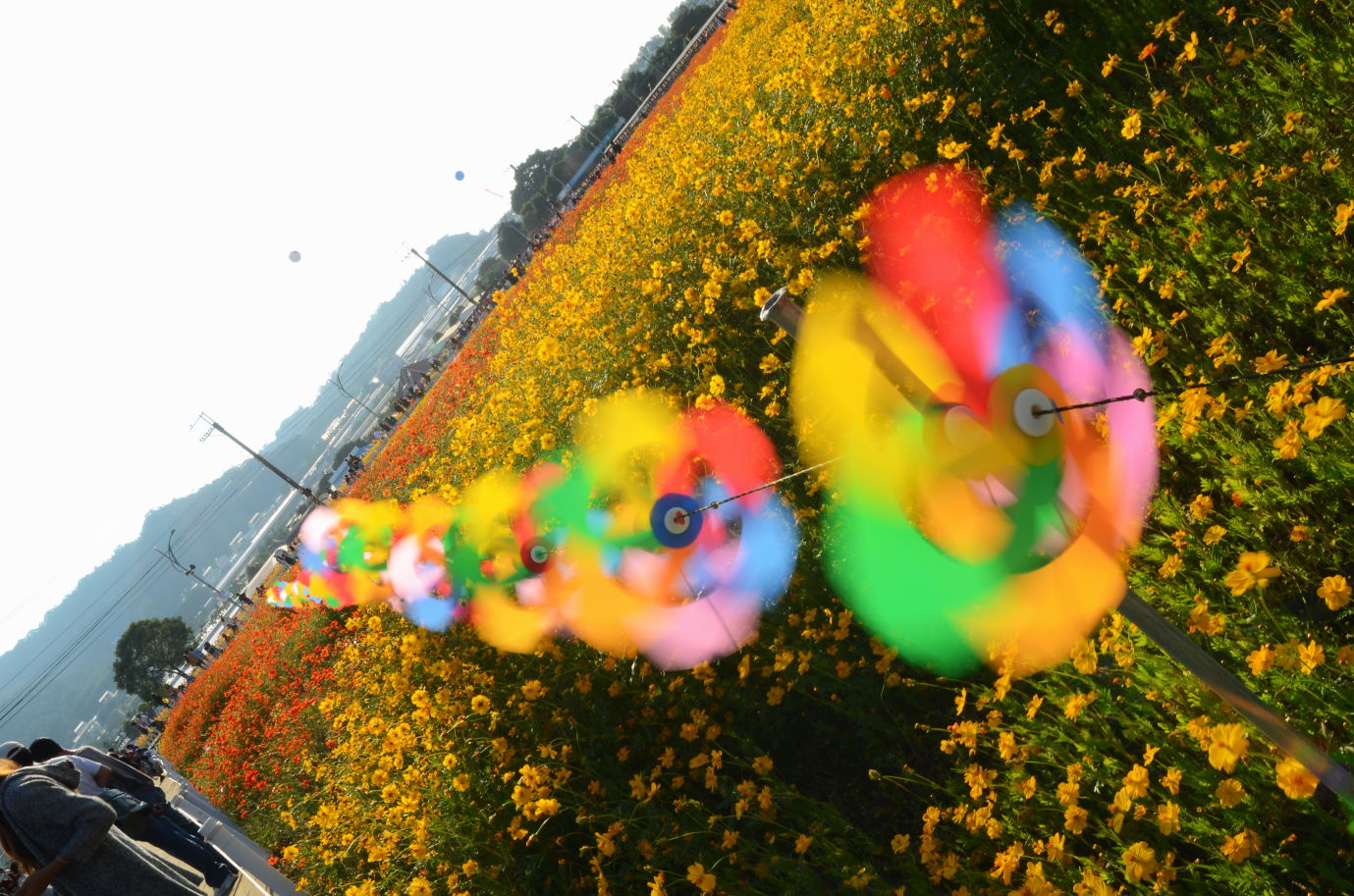 http://i.dcview.tw/gallery/201411/5782eab61d281d05963f0134aa22498f.jpg