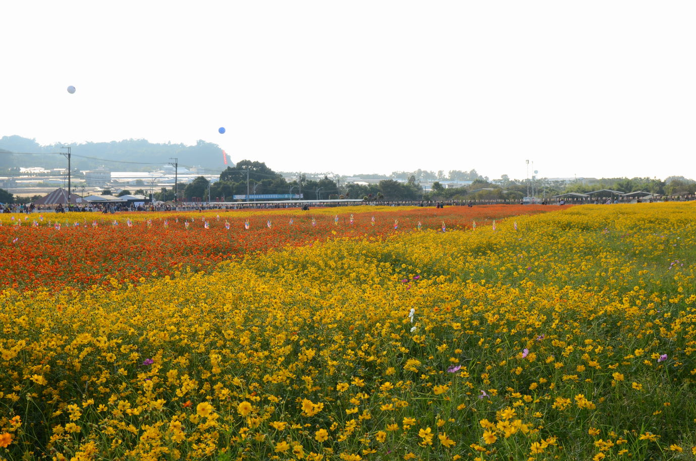 http://i.dcview.tw/gallery/201411/6364437f340f1fa50ae50ef7524fb453.jpg