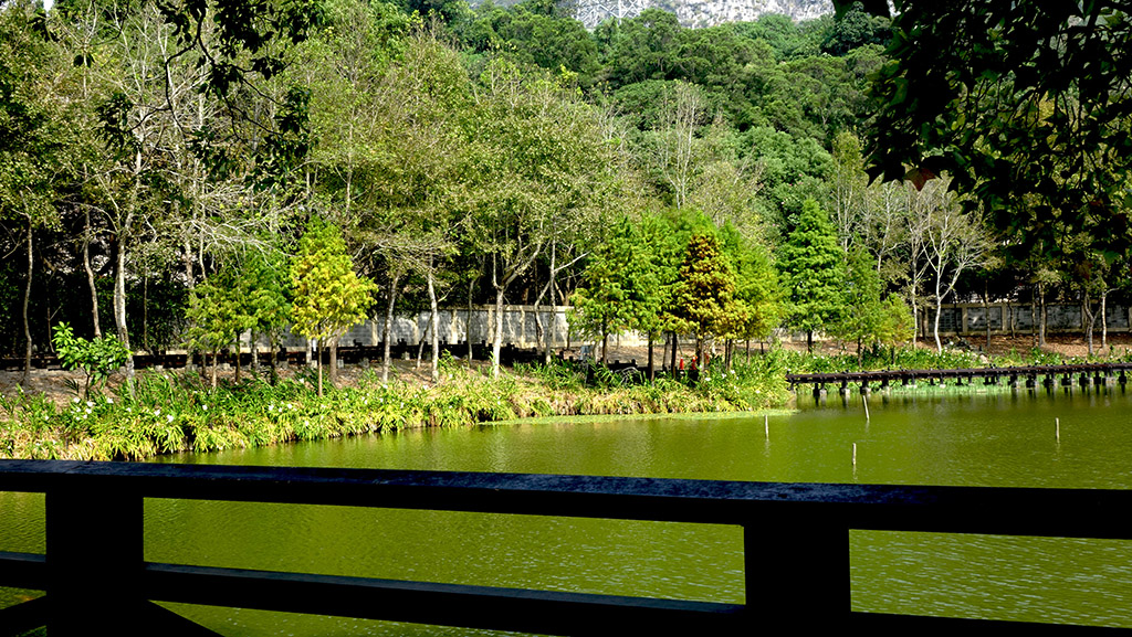 http://i.dcview.tw/gallery/201411/7d3bc6b033ca4a47c6082cb4c36332c4.jpg