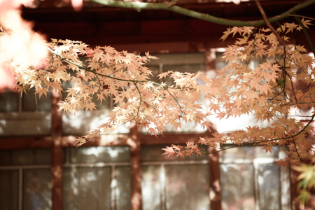 http://i.dcview.tw/gallery/201411/8cbbbdac8c85609090fece2107d3a634.jpg