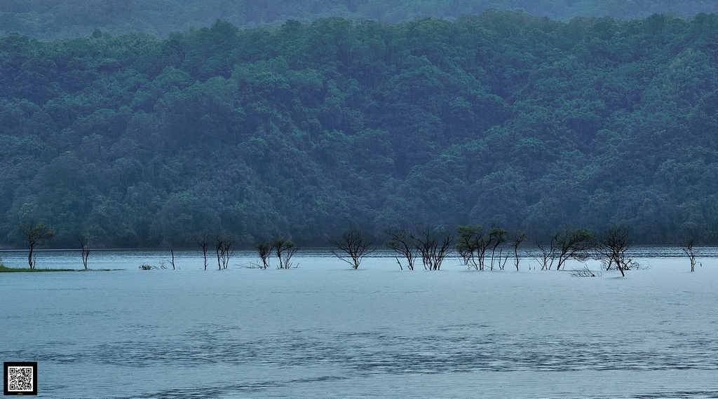 http://i.dcview.tw/gallery/201411/a493c77ea59ccd38ed5d205cea25534c.jpg