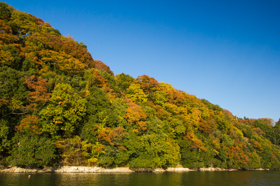 http://i.dcview.tw/gallery/201411/d040fd2d728a112596609049ff90b84c.jpg