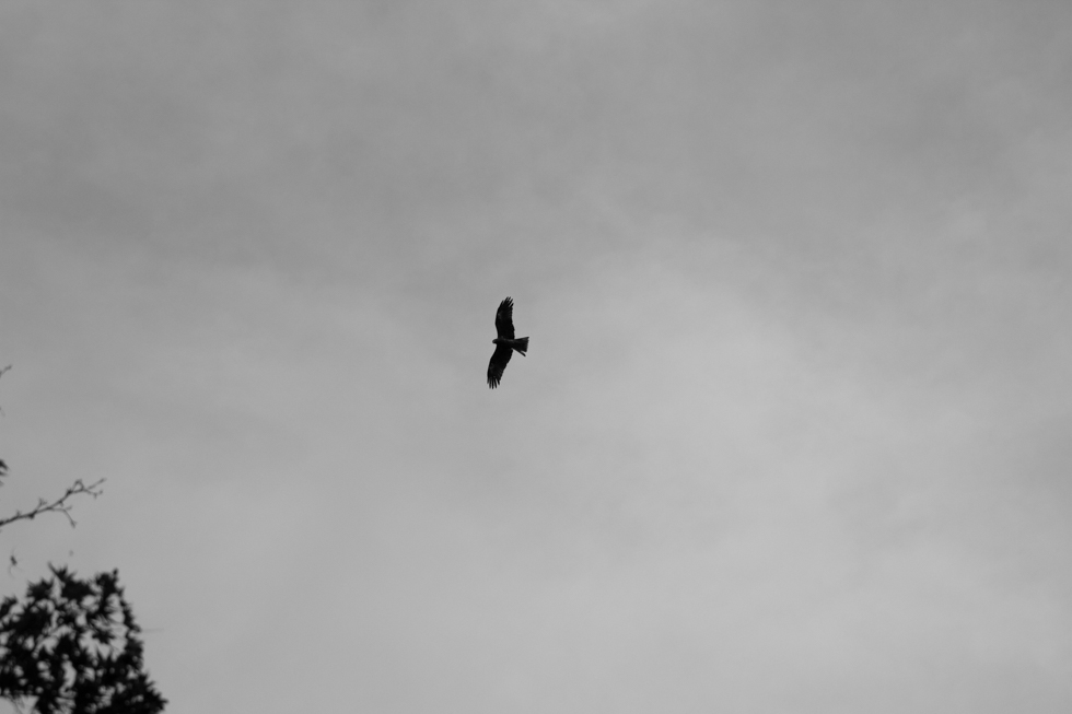 http://i.dcview.tw/gallery/201411/eded8ffa57784b04f706d0d47f1ad468.jpg