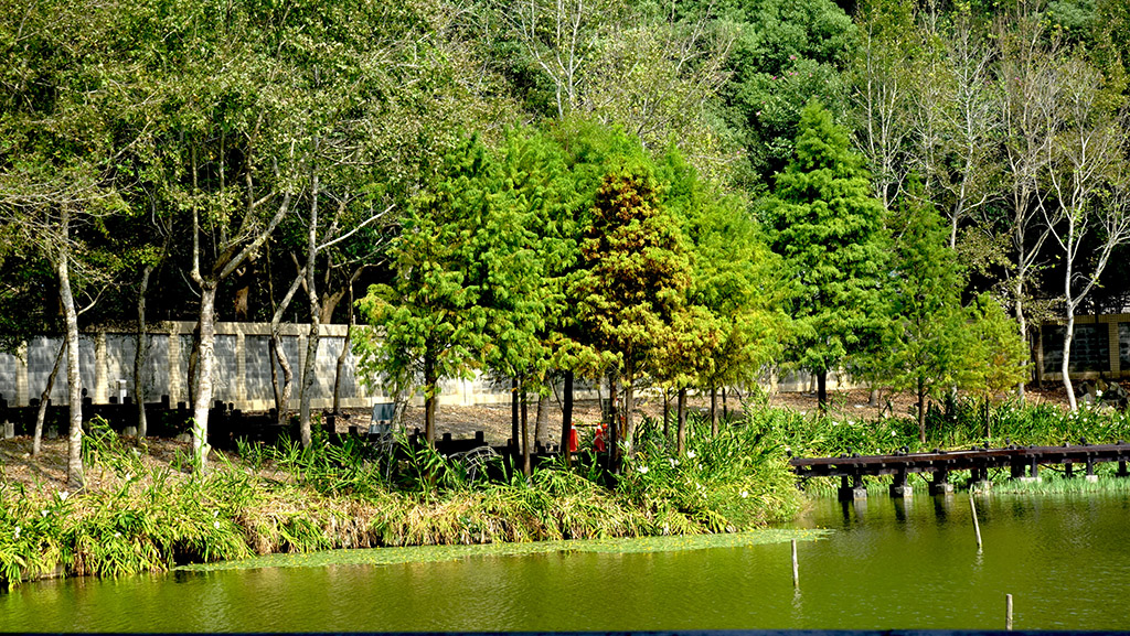 http://i.dcview.tw/gallery/201411/f1717b2090ce71be6aa196492f74328e.jpg