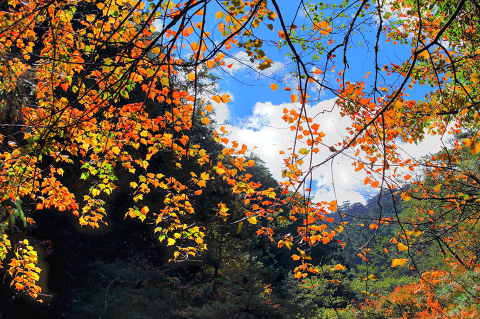 http://i.dcview.tw/gallery/201412/07d814d44f733c0dc717b05402f85ad5.jpg