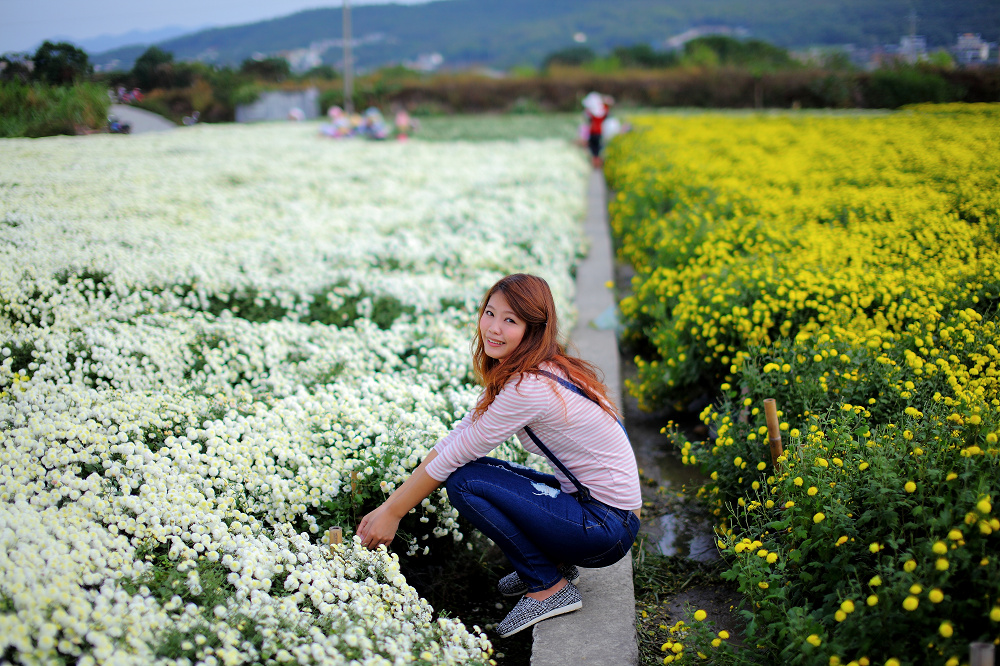 http://i.dcview.tw/gallery/201412/1536aeb7f4efe1454a69e75095027fbe.jpg