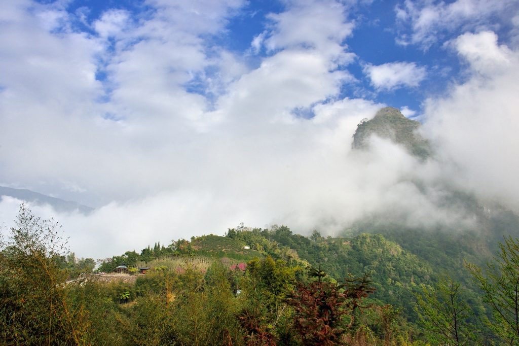 http://i.dcview.tw/gallery/201412/3ec016833858a08793f84cf61f2f021b.jpg