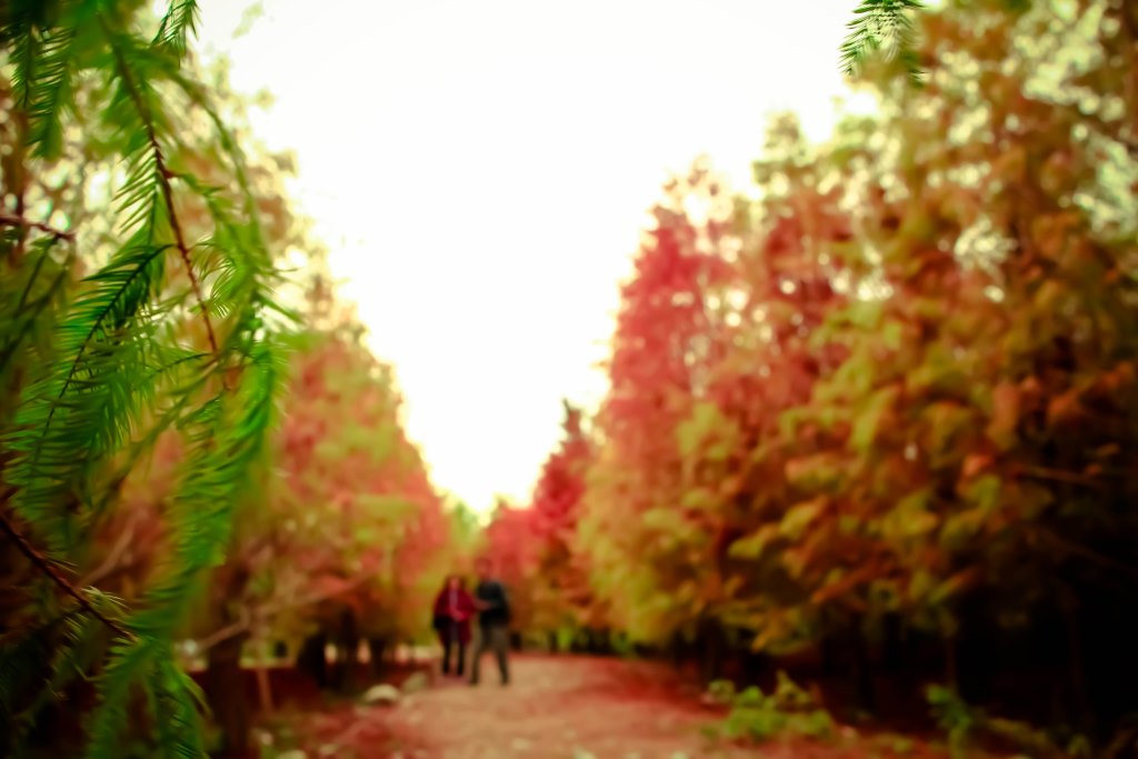 http://i.dcview.tw/gallery/201412/3f1a8ab61d7e8fdec678456fe1f97928.jpg