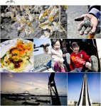 去【王功漁港】探一下青蚵伯