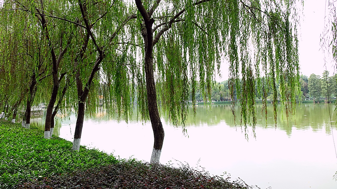 http://i.dcview.tw/gallery/201412/6aff663f4d7f655231107c3ada9c8598.jpg
